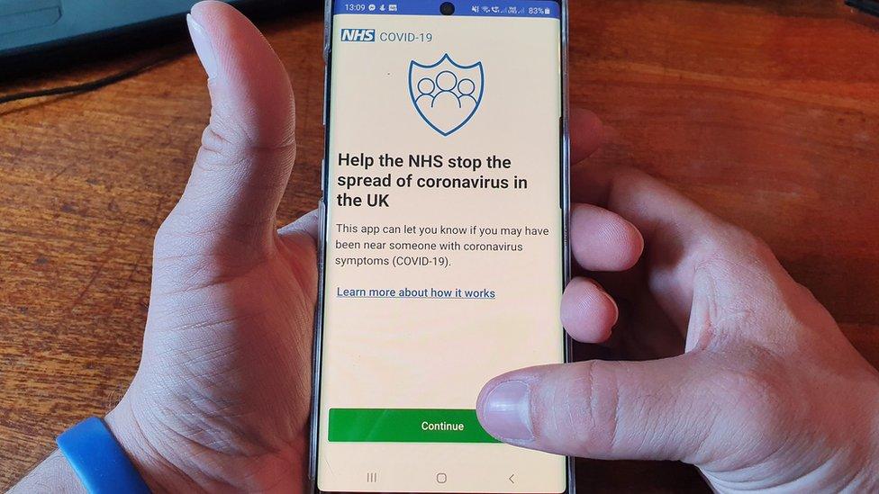 Phone screen showing the NHS test and trace app