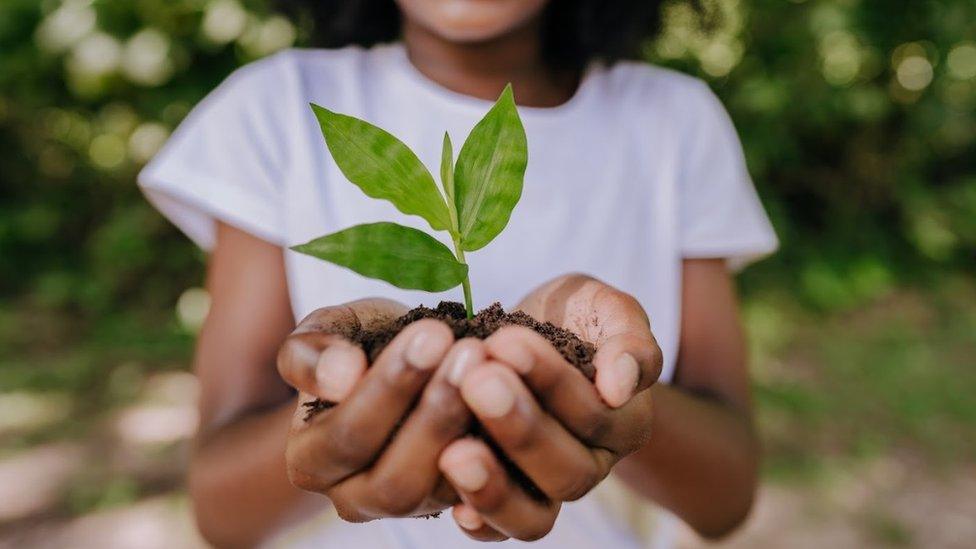 Girl holding seedling and soil in hands