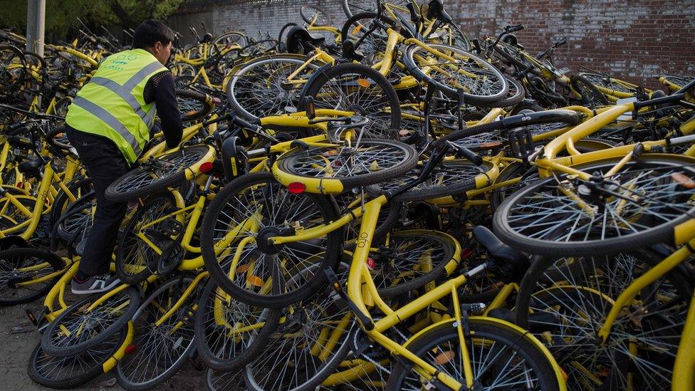 Ofo bikes