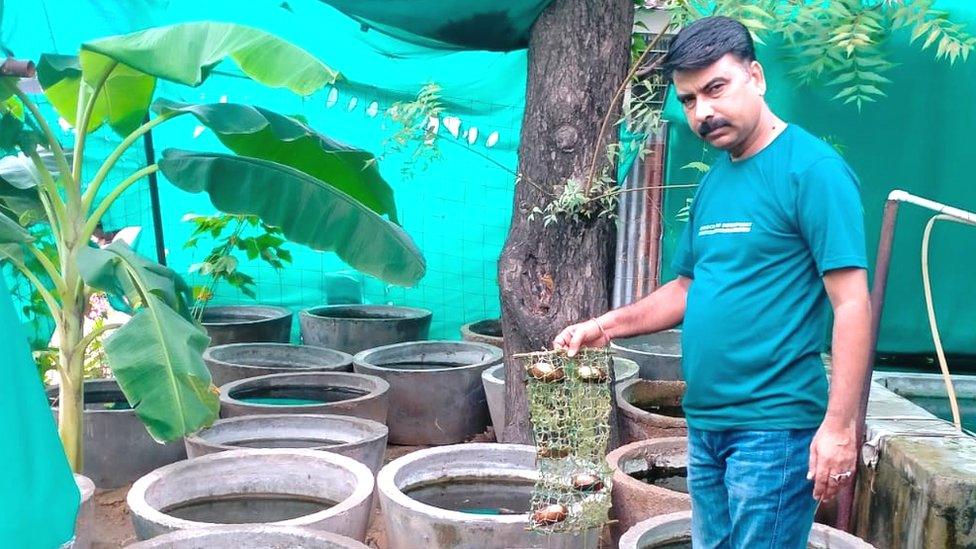 Narendra Garwa at his pearl farm