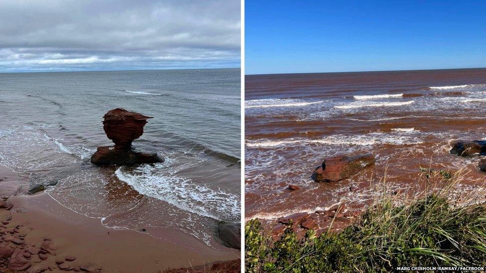 The Teacup in Thunder Cove, PEI before and after