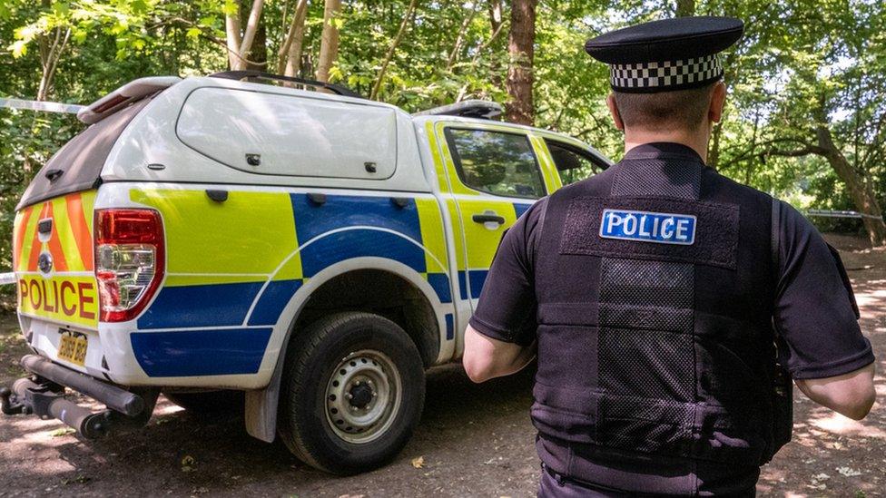 A police vehicle and police officer in Hockley Woods