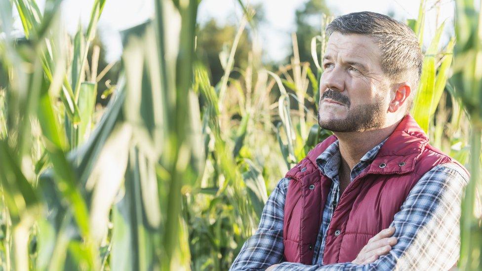 Farmer looking upset