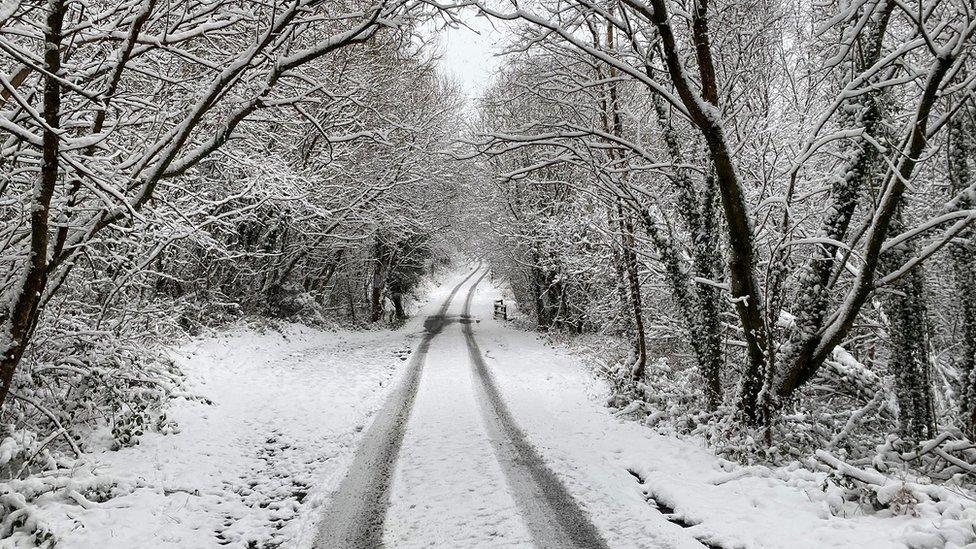 Ar y mynydd rhwng Pontypridd a Llanwnno