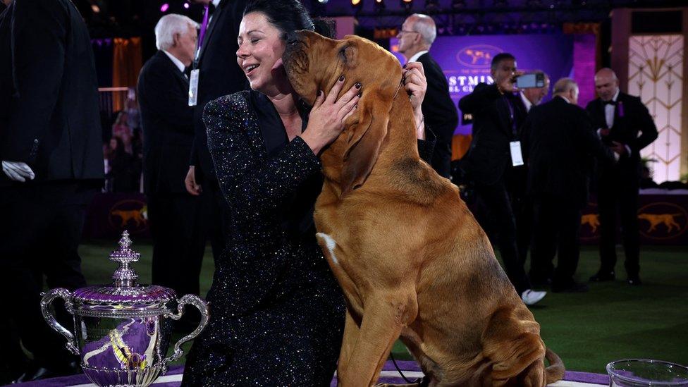 Dog licks owner's face.