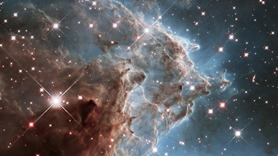 The monkey head nebula