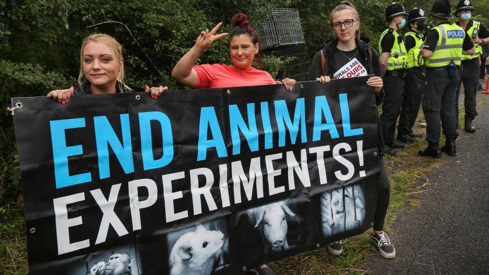 Animal rights protestors outside a facility which breeds dogs for scientific testing