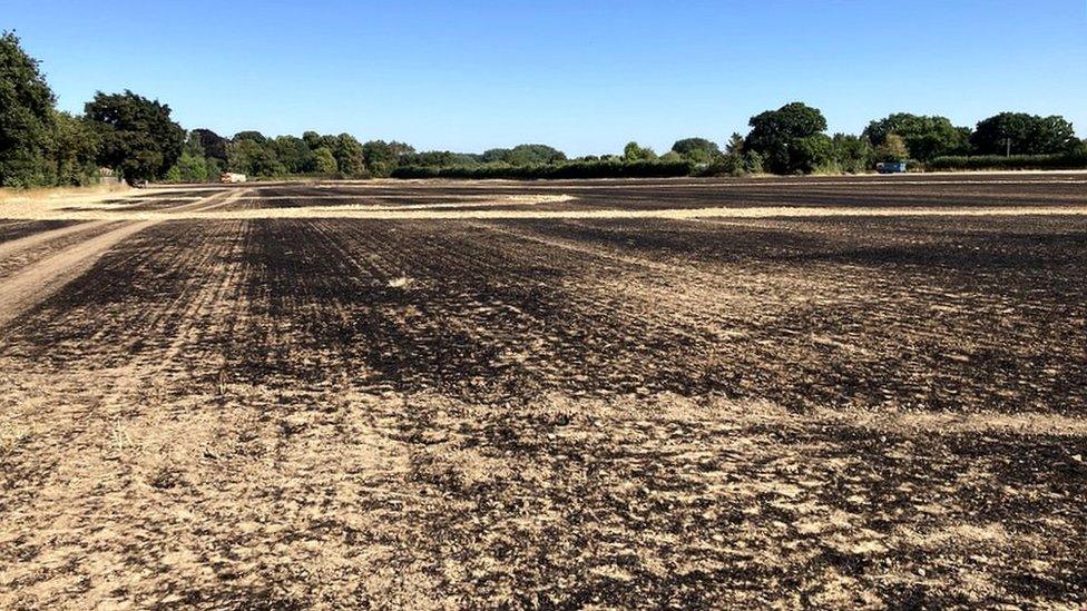 A field fire in Bentley, Suffolk