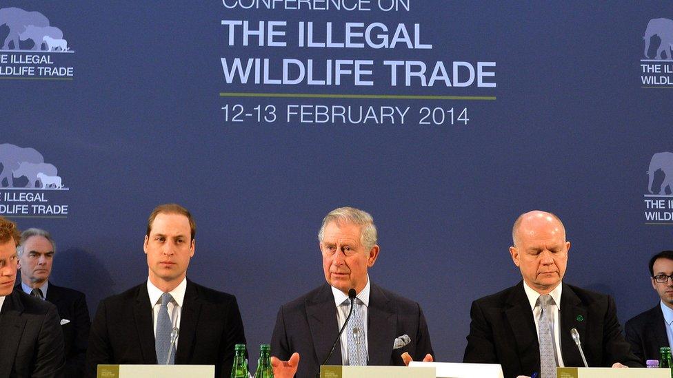 Prince Charles discussing illegal wildlife trade