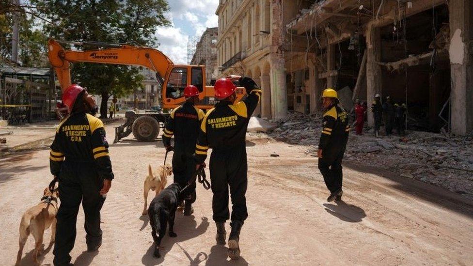 Emergency personnel with sniffer dogs prepare to search for survivors at the Saratoga Hotel two days after it suffered an explosion, in Havana, Cuba May 8, 2022