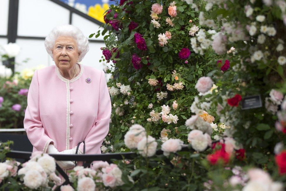 Queen looks at a display of Peter Beales roses.