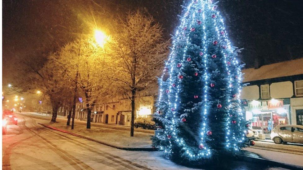 Snowy scene with Christmas tree in Moira