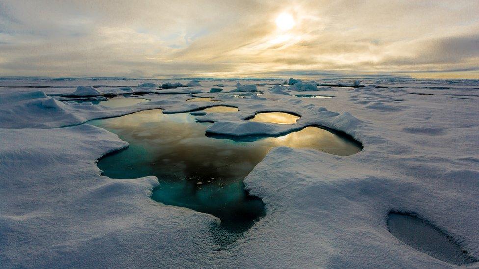 Melt ponds