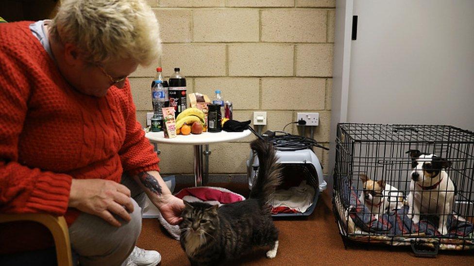 A woman looking her pets at Tendring Education Centre