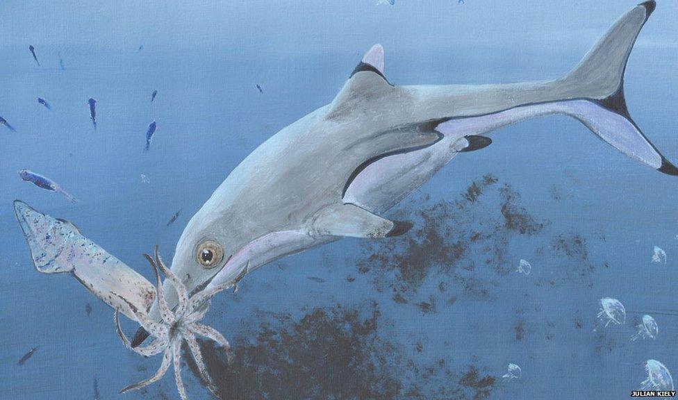 What the ichthyosaur might have looked like