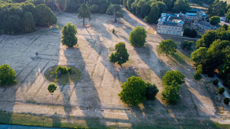 Ariel view of mansion gardens with imprints in ground