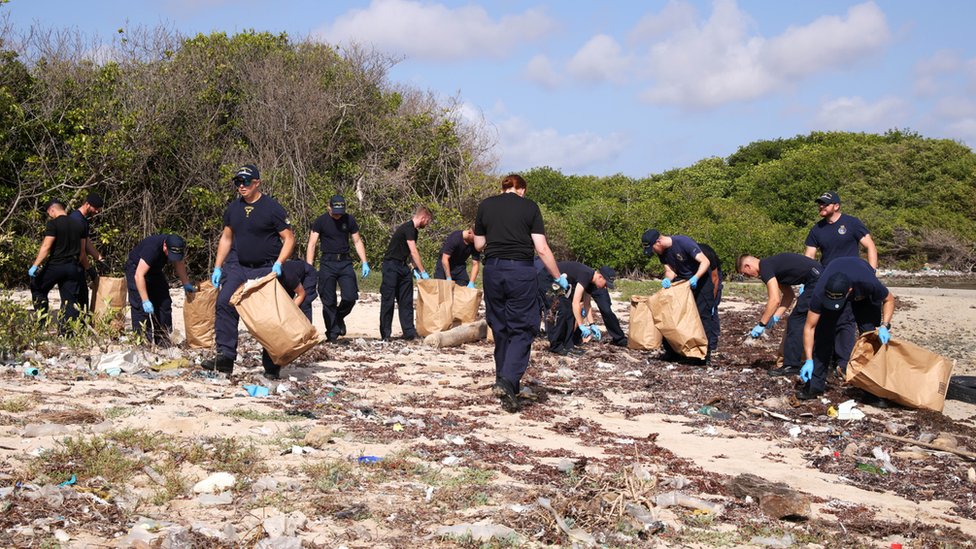 a group of people collect plastic on a beach