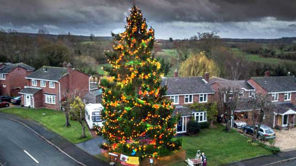 Giant Christmas tree in garden