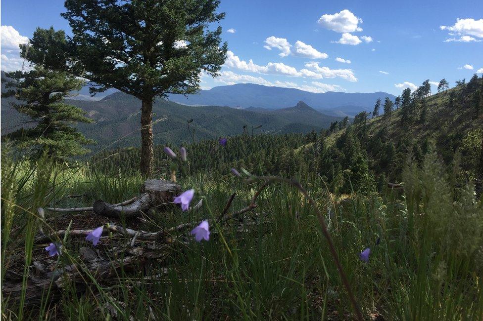  Pike National Forest.