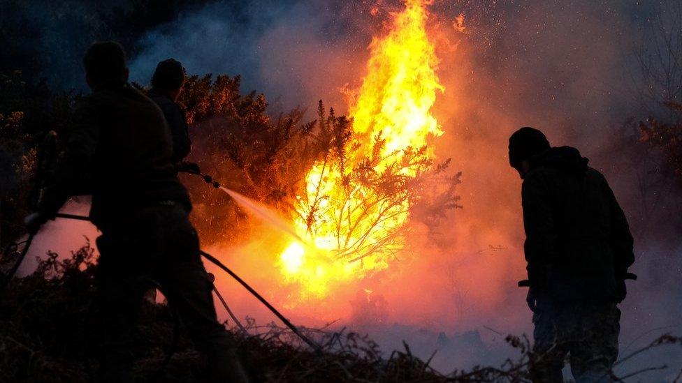 Firefighters tackle the blaze