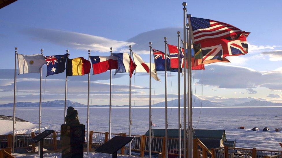 Antarctic Treaty flags