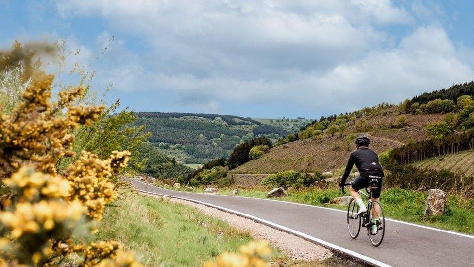 Mountain bikers enjoying the views of Cwmcarn Forest