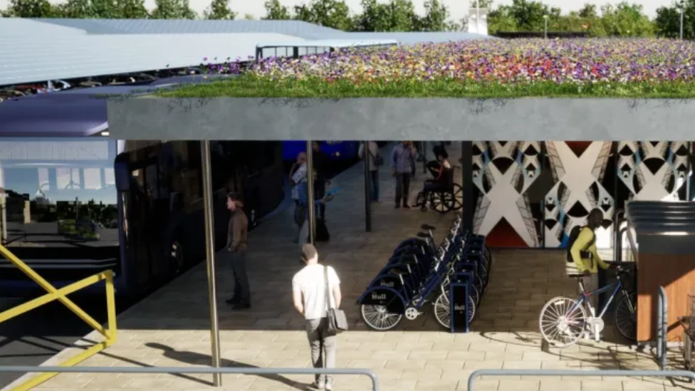 Image of bee-friendly bus shelters