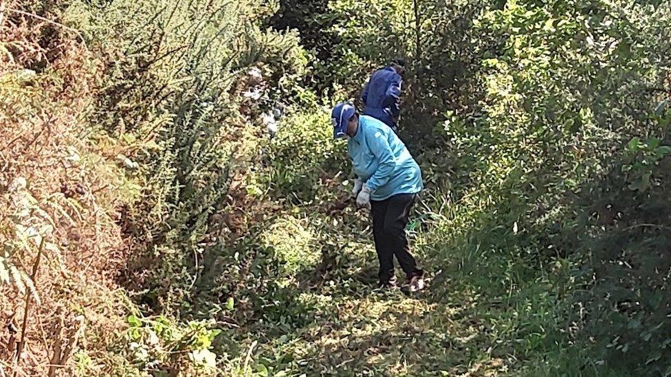 Volunteers cutting back vegetation