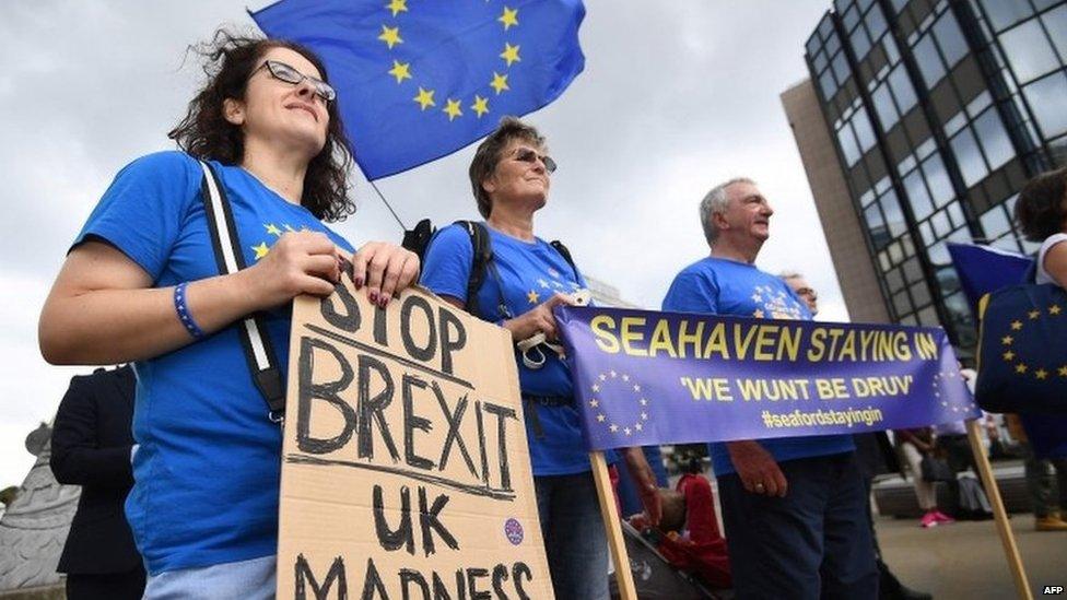 Anti-Brexit demonstrators in Brussels