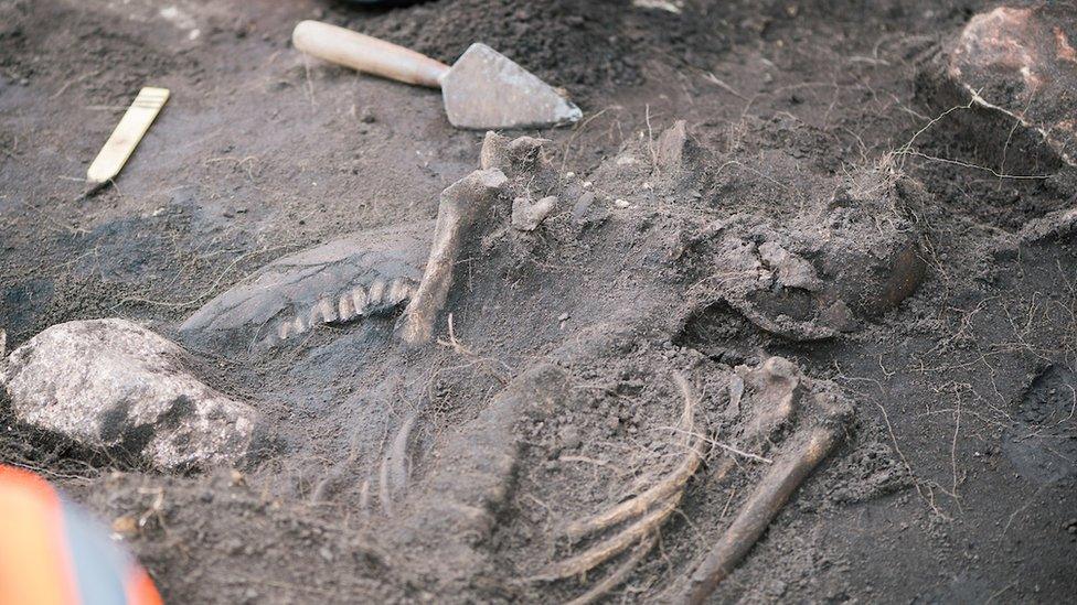 A skeleton found at the Sandby borg massacre site