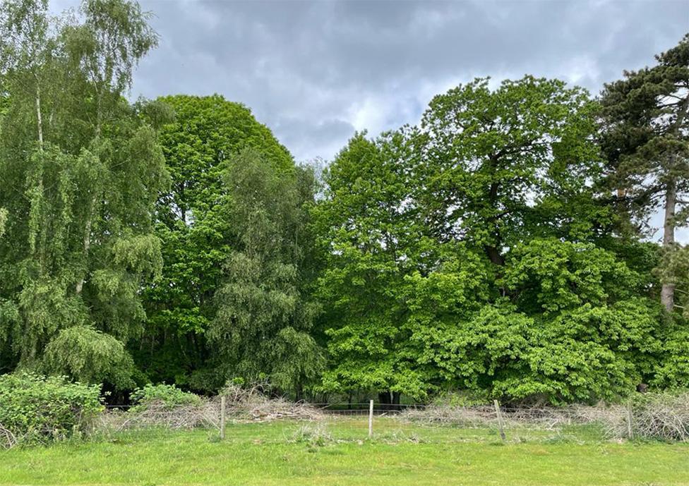 The site of the forthcoming outdoor theatre at Sutton Hoo