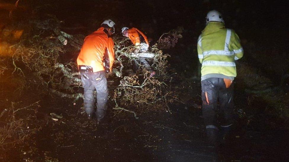 Three tree surgeons pull a tree off a road