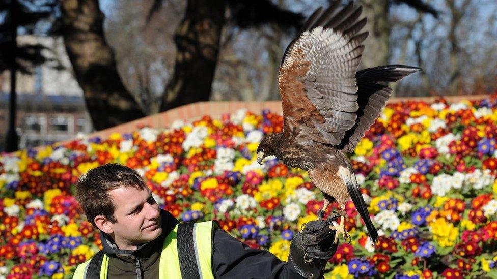 "Horatio" and handler