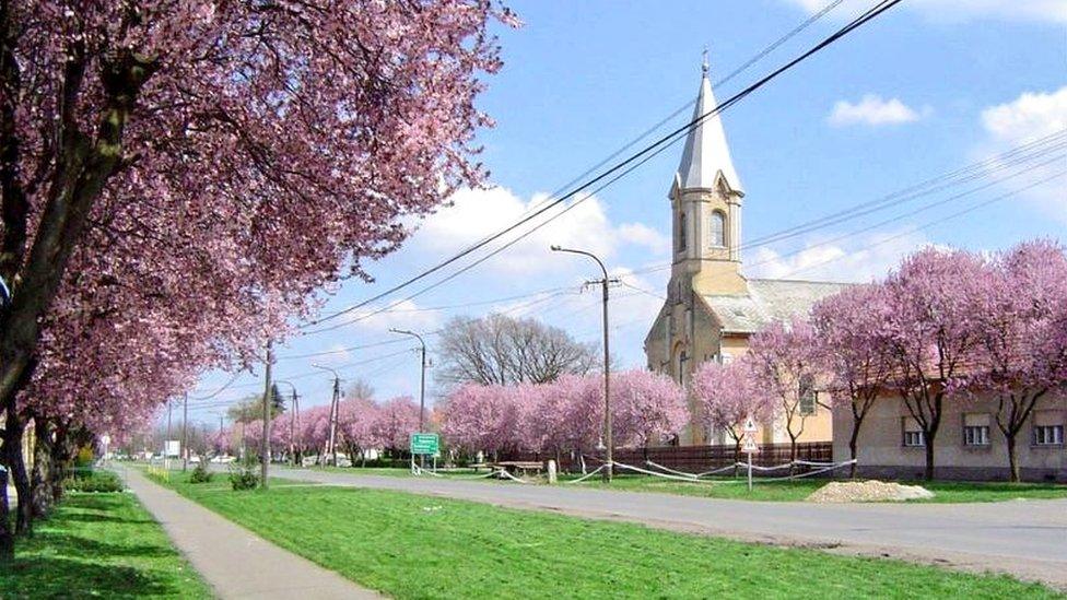 A tree-lined street and church in Kunagota