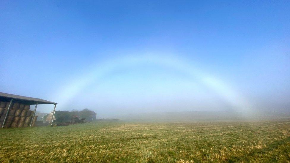 Fogbow