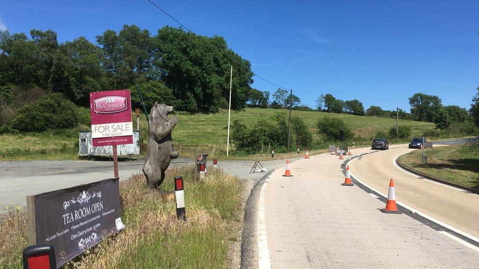 Photo of the bear stood at the roadside