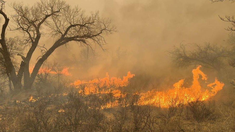 Wildfire in Texas