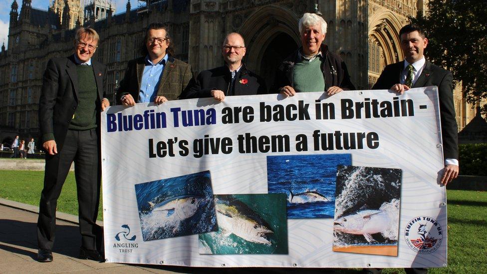 Campaigners for a catch-and-release tuna fishery outside of the Houses of Parliament on Wednesday 31 October 2018