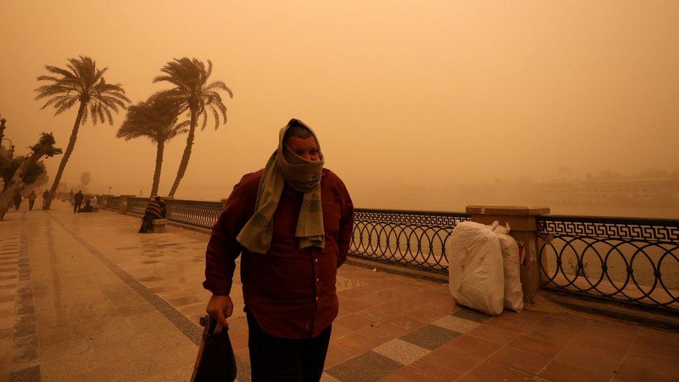 A man covers his face during a sandstorm near the River Nile in Cairo, Egypt, 16 January 201