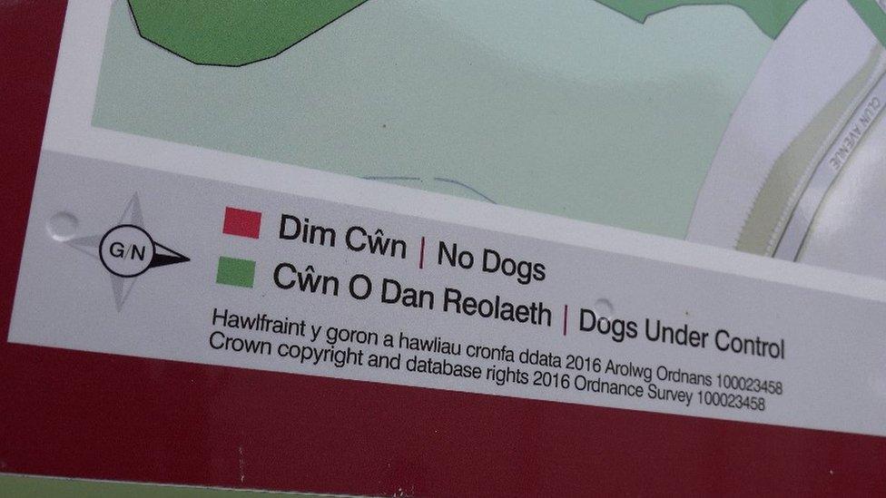 'No dogs' sign in Pontyclun