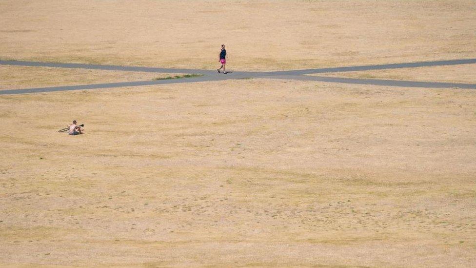 People walk in the sun in Greenwich Park