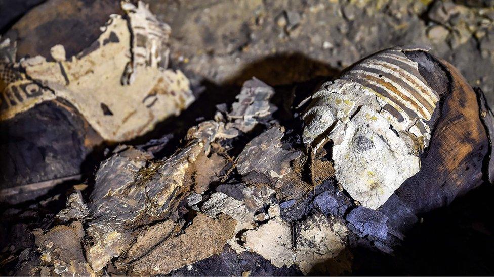 mummies wrapped in linen with sarcophagi fragments