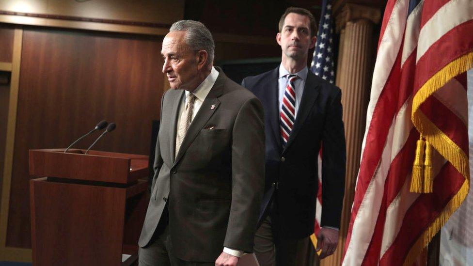 Senators Chuck Schumer and Tom Cotton