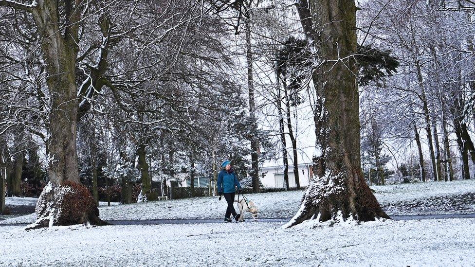 Snow at Wallace Park in Lisburn