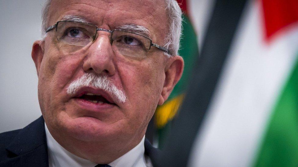 Palestinian Foreign Minister Riad Malki speaks to reporters after meeting the chief prosecutor of the International Criminal Court in The Hague (22 May 2018)