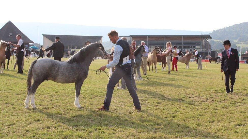 Mae llygaid craff y beirniad yn gweithio'n galed i adnabod y gorau