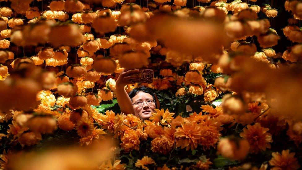 A tourist takes photos inside an installation entitled "A golden year" by Dog and Pony of Los Angeles, erected as part Lunar New Year festivities, at a shopping arcade in Hong Kong on February 4