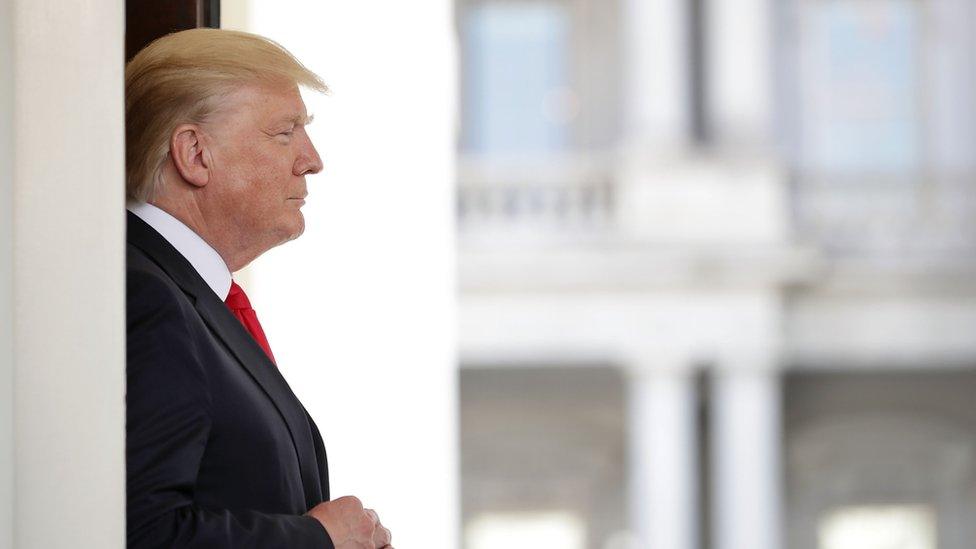 President Donald Trump at the White House, 31 May