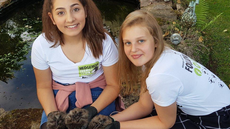 Kyra Barboutis and Sophie Smith with hedgehogs