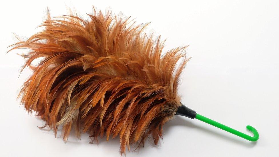 A feather duster